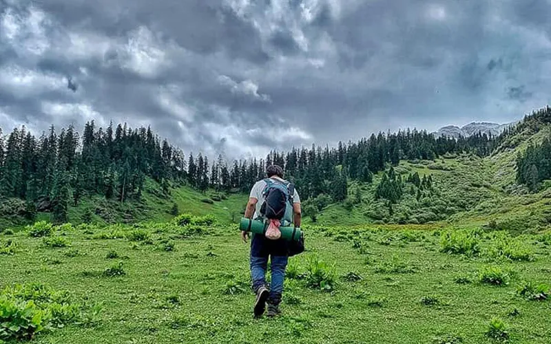 Hiker walking across vibrant green alpine meadows framed by pine forests and mountains