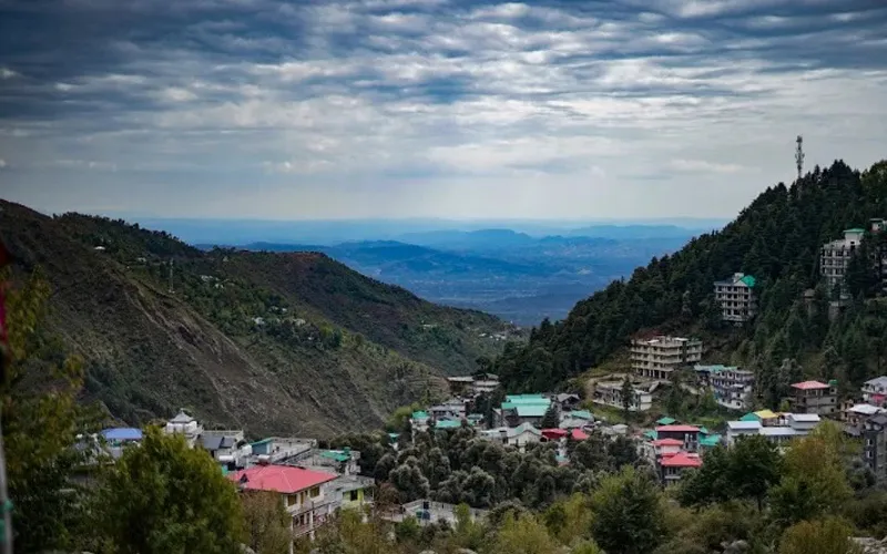 Scenic hillside view of Dharamkot village surrounded by pine forests near Dharamshala
