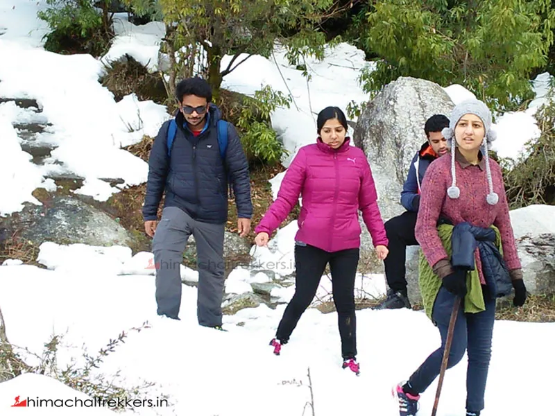 Trekkers walking on a snow-covered trail during Barot Valley winter trek