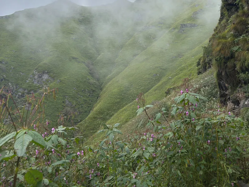 Steep lush green Himalayan valley blanketed in misty fog