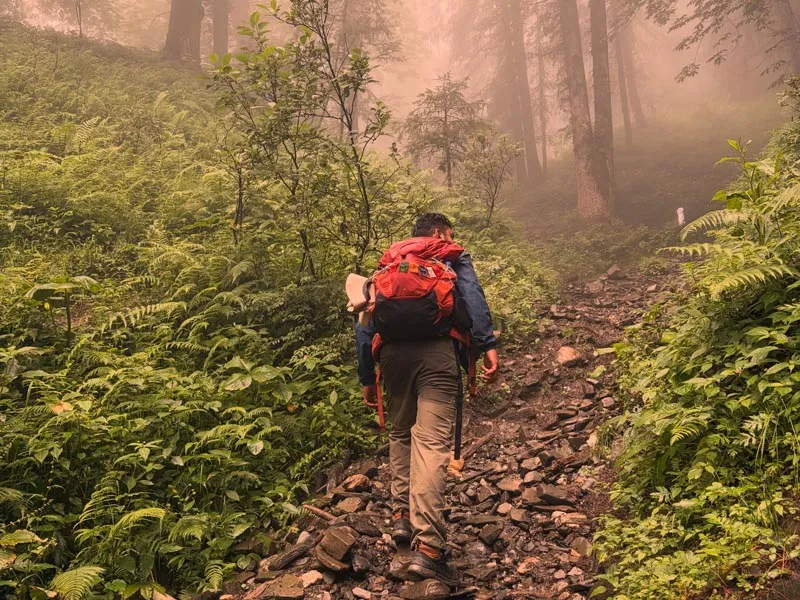 Trekker carrying backpack ascending a forested mountain trail during Chandrakhani Pass trek