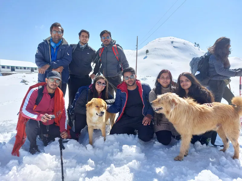 Tourists and pet dogs enjoying fresh winter snowfall at Prashar Lake ridge