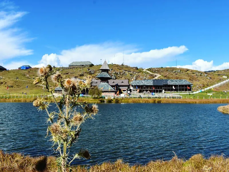 Wild mountain thistle in foreground with deep blue waters and historic Prashar Rishi temple