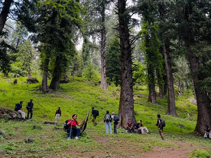Trekkers resting along a trail under tall deodar pine trees on the way to Ranisui Lake