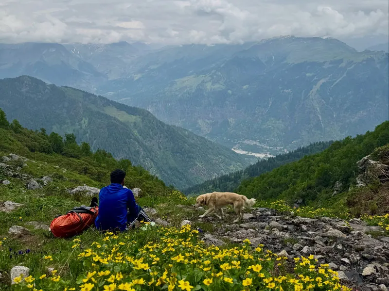 Trekker sitting among yellow wildflowers on a mountain ridge overlooking Kullu valley