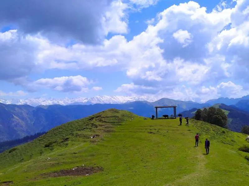 Trekkers walking along wide rolling green meadows on Jalori Pass ridge under a blue sky