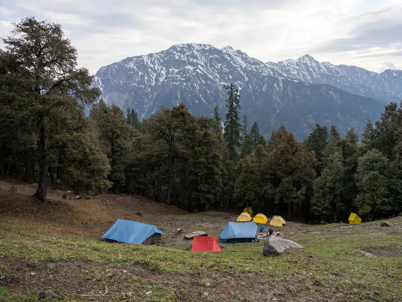Alpine campsite with tents pitched on a forest clearing facing snow-capped mountain peaks near Jalori Pass