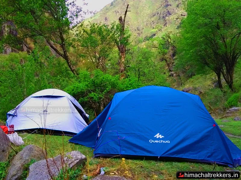 Blue and white dome camping tents pitched among green trees in Tirthan Valley