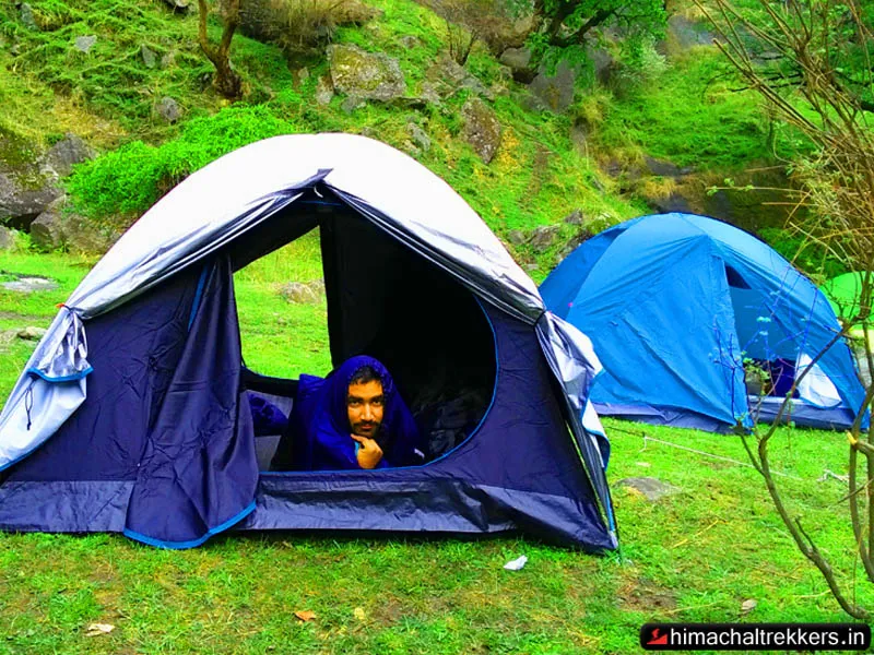 Alpine camping tent open with sleeping mat inside surrounded by lush green foliage