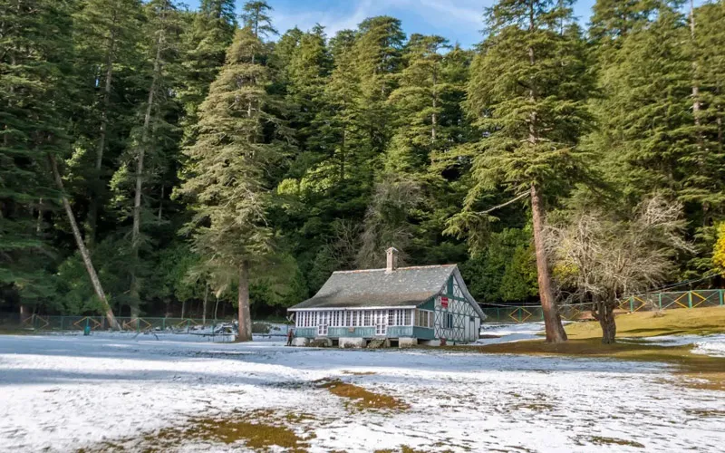 Charming colonial forest rest house surrounded by tall pine trees in Dalhousie
