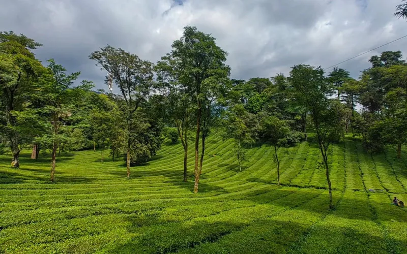 McLeodGanj