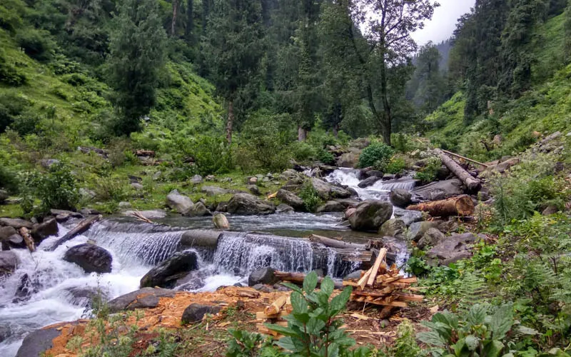 Crystal-clear freshwater streams of Uhl River cascading over rocks surrounded by dense pine forest